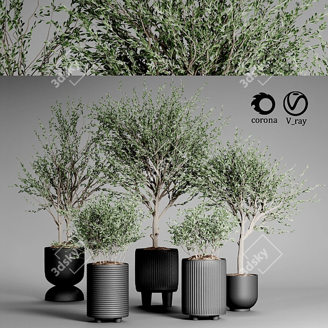 Indoor Plant Collection 34 3D model image 2