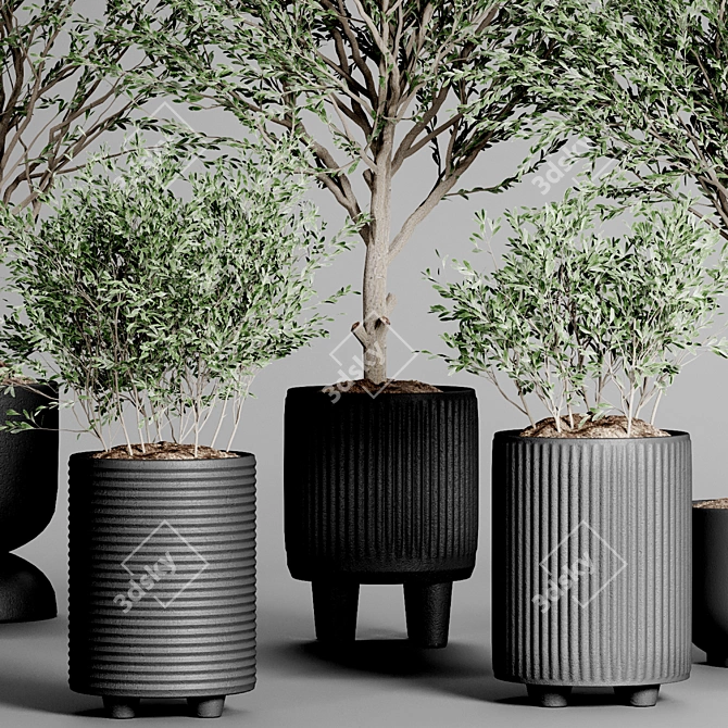 Indoor Plant Collection 34 3D model image 3