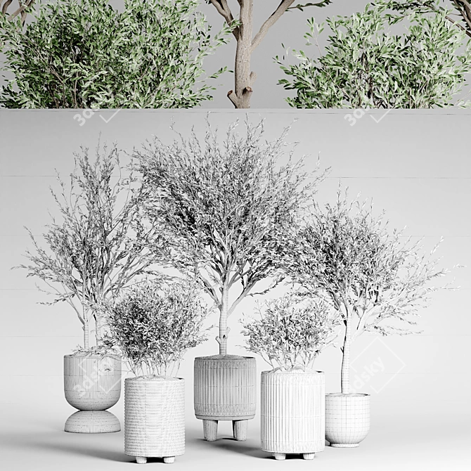 Indoor Plant Collection 34 3D model image 5