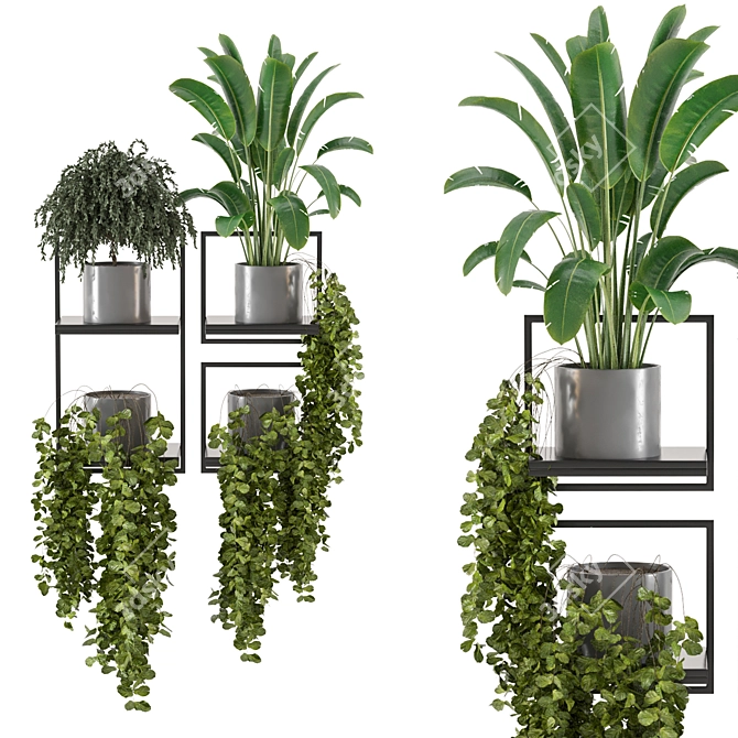 Concrete Pot Indoor Plants on Metal Shelf - Set 208 3D model image 3