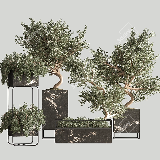 Versatile Indoor Plant Set 3D model image 1