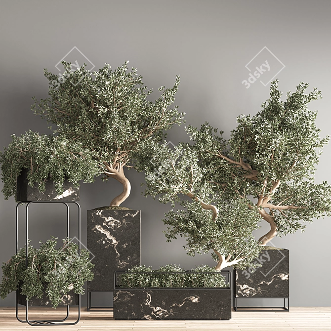 Versatile Indoor Plant Set 3D model image 2