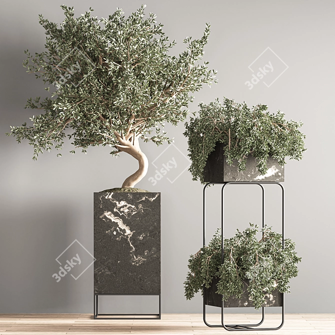 Versatile Indoor Plant Set 3D model image 5
