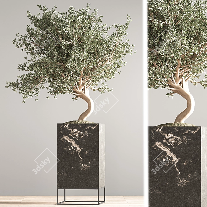 Versatile Indoor Plant Set 3D model image 6