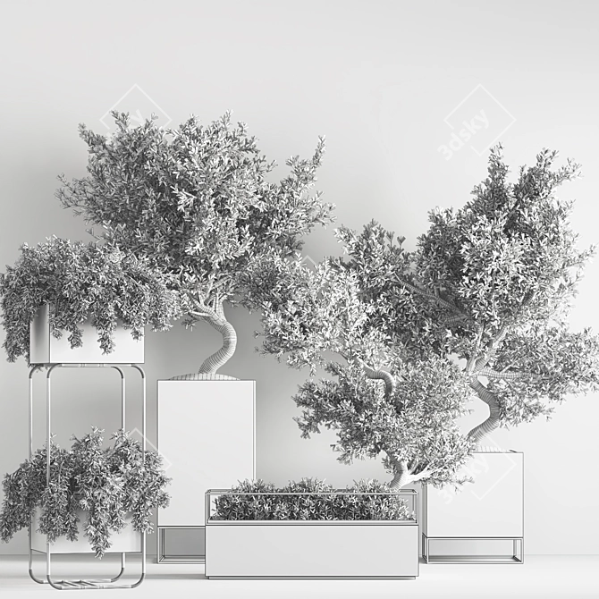 Versatile Indoor Plant Set 3D model image 7