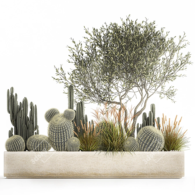 Exotic Cactus Collection | Decorative Plants in Concrete Pots 3D model image 1