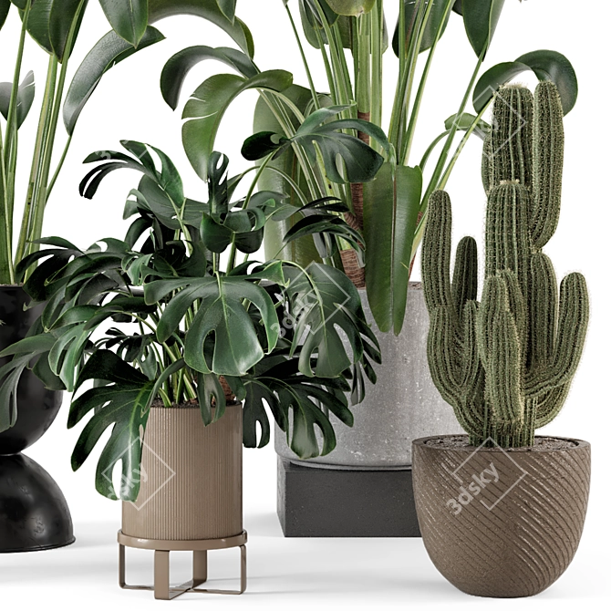 Ferm Living Bau Pot Large Set - Indoor Plants 3D model image 2