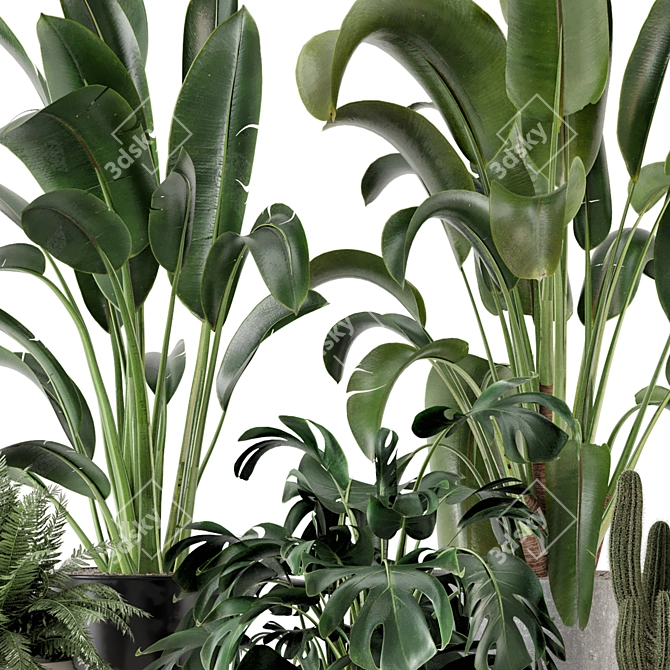 Ferm Living Bau Pot Large Set - Indoor Plants 3D model image 6