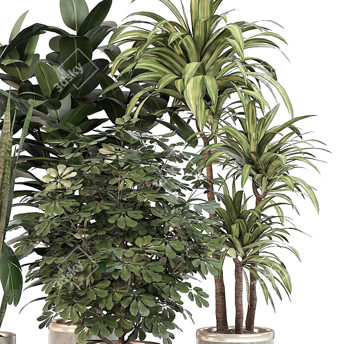 Green Oasis: 5 Indoor Plant Set 3D model image 3