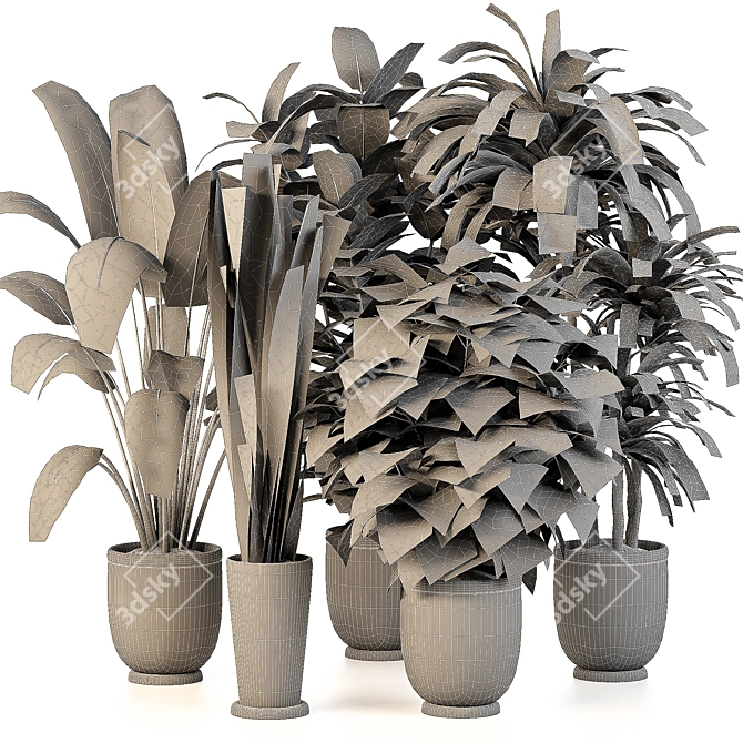 Green Oasis: 5 Indoor Plant Set 3D model image 4