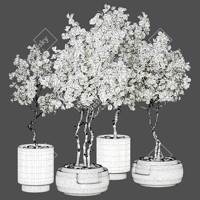 Versatile Indoor Plant Vol. 32 3D model image 4