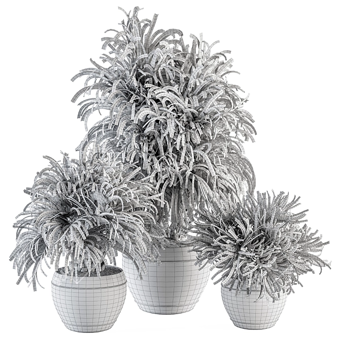 Tropical Bush in Vintage Pot - Indoor Plant Set 3D model image 5