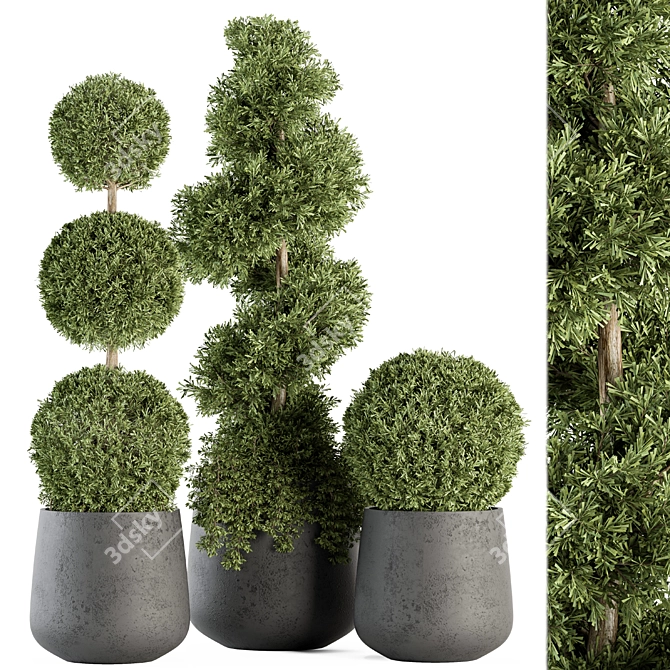 Outdoor Greenery Set: Topiary Plant & Bush 3D model image 1