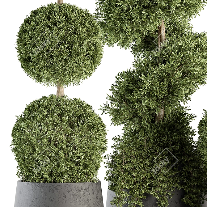 Outdoor Greenery Set: Topiary Plant & Bush 3D model image 2