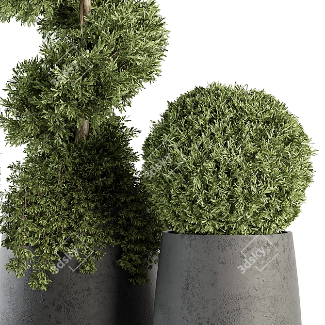Outdoor Greenery Set: Topiary Plant & Bush 3D model image 3