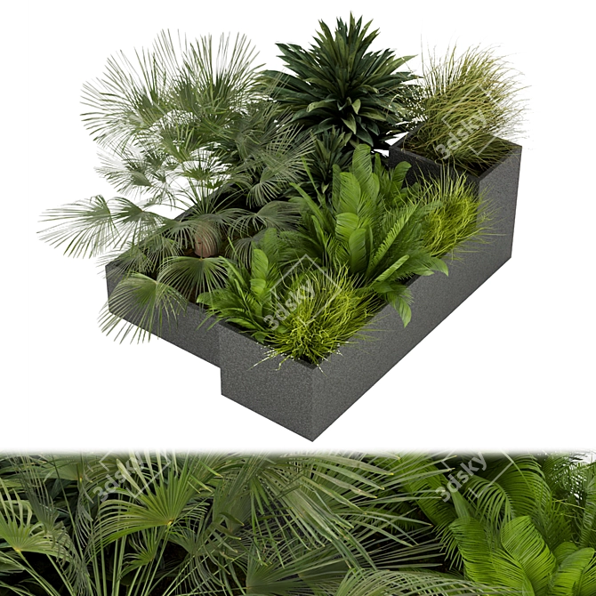 Premium Outdoor Leaf Collection 3D model image 1