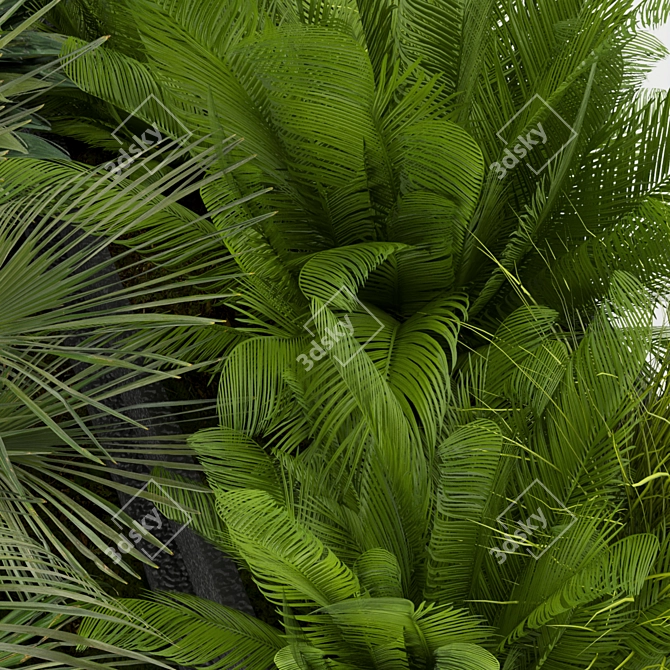 Premium Outdoor Leaf Collection 3D model image 6