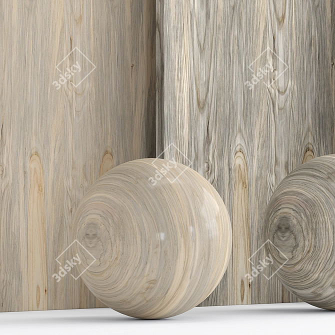 Wood 18: 3 Material Textures 3D model image 4