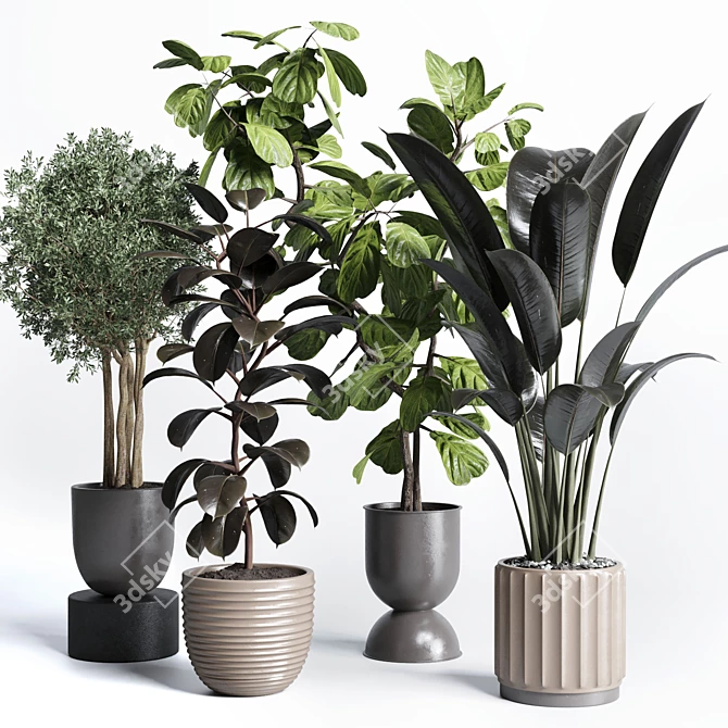 Natural Greenery Collection: Ficus Rubber Tree Pot 3D model image 4