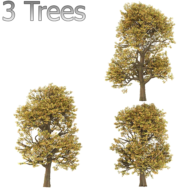 Autumn Chestnut Trio - 3 Trees 3D model image 3