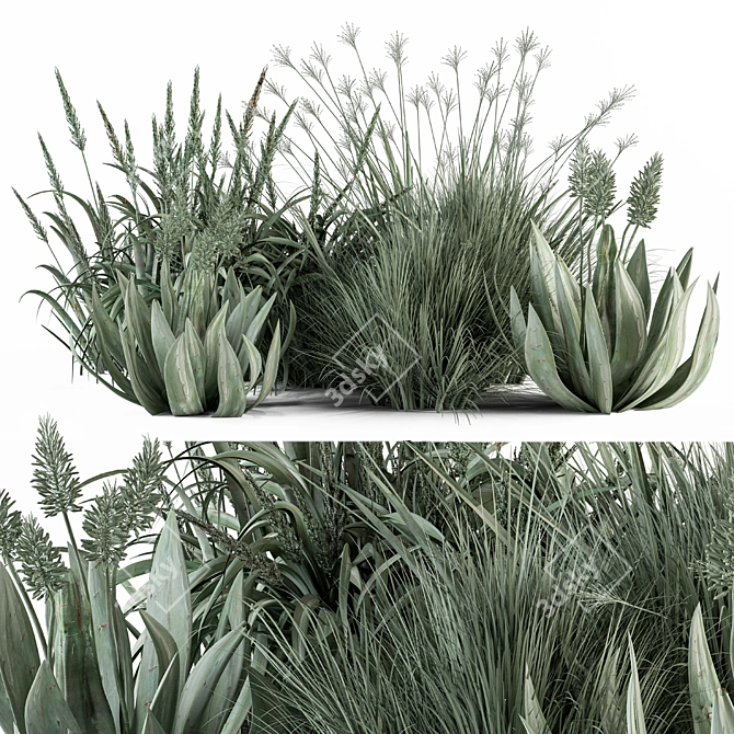 Aloevera Mixed Plant Set 3D model image 1