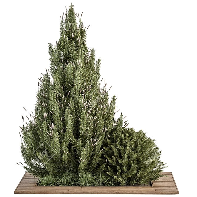 Pine Bush & Tree Set: Outdoor Greenery 3D model image 1