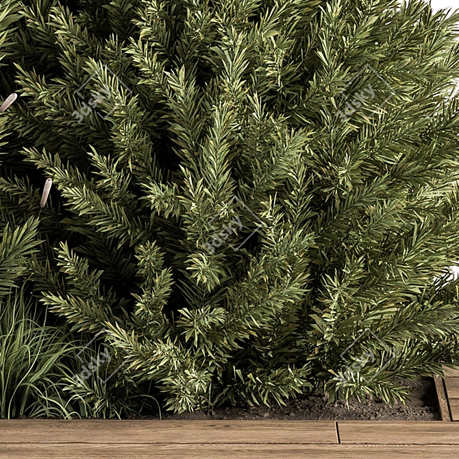 Pine Bush & Tree Set: Outdoor Greenery 3D model image 3