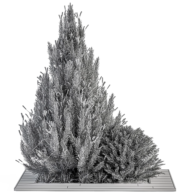 Pine Bush & Tree Set: Outdoor Greenery 3D model image 4