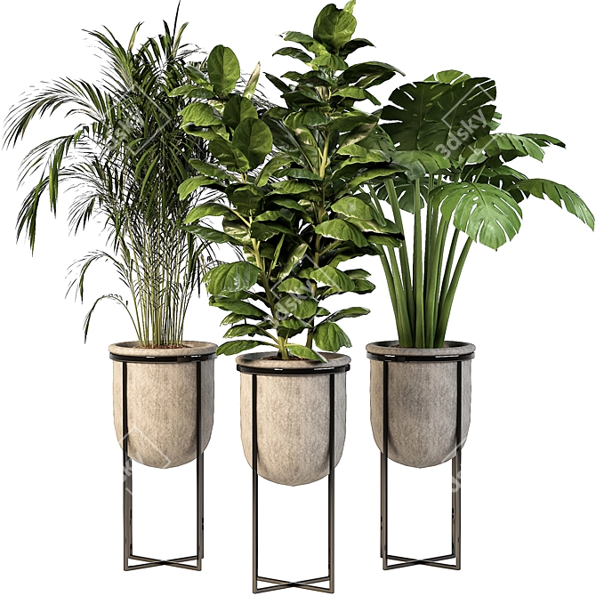Lush Indoor Plant Trio 3D model image 1