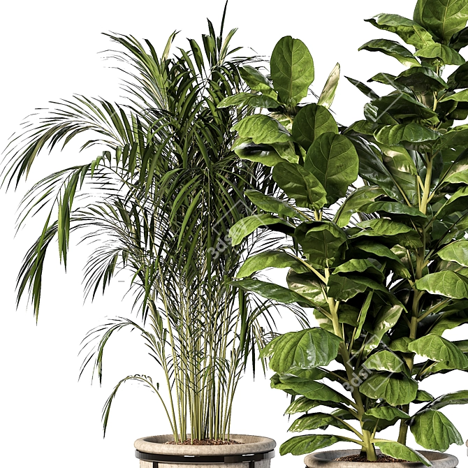 Lush Indoor Plant Trio 3D model image 2