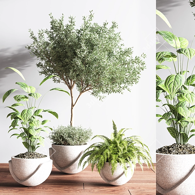 Indoor Oasis Plant Set 3D model image 4