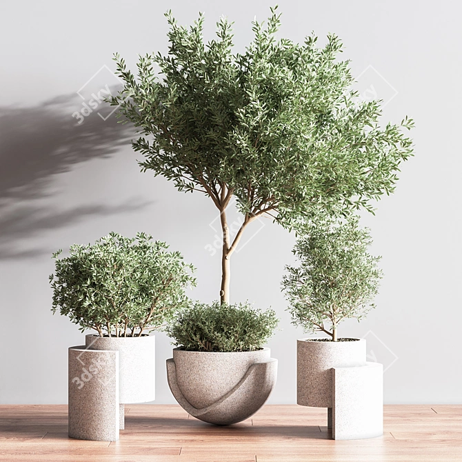 Indoor Oasis Plant Set 3D model image 6