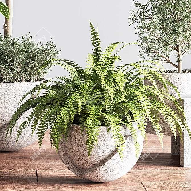 Indoor Oasis Plant Set 3D model image 9