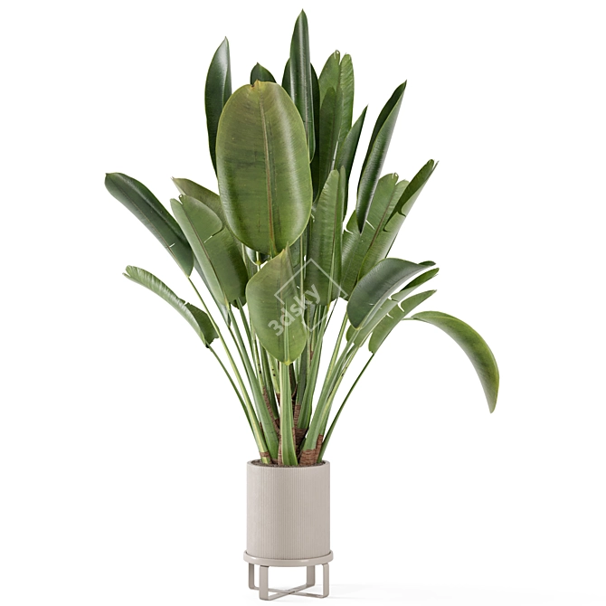 Ferm Living Bau Pot Large Set - Modern Indoor Plants 3D model image 3