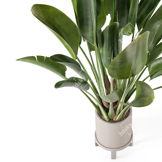 Ferm Living Bau Pot Large Set - Modern Indoor Plants 3D model image 5