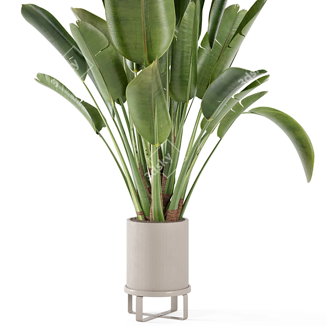 Ferm Living Bau Pot Large Set - Modern Indoor Plants 3D model image 6