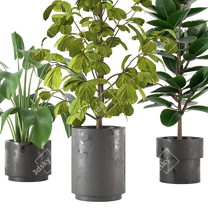 Green Oasis: Indoor Plants Collection 3D model image 2