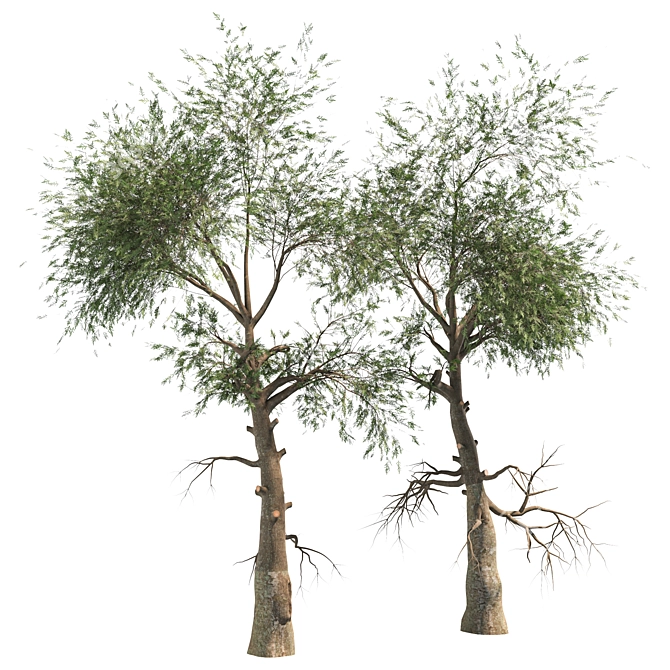 Variety Vol. 3: Three Unique Trees 3D model image 2