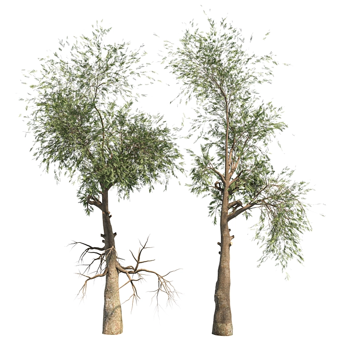 Variety Vol. 3: Three Unique Trees 3D model image 4