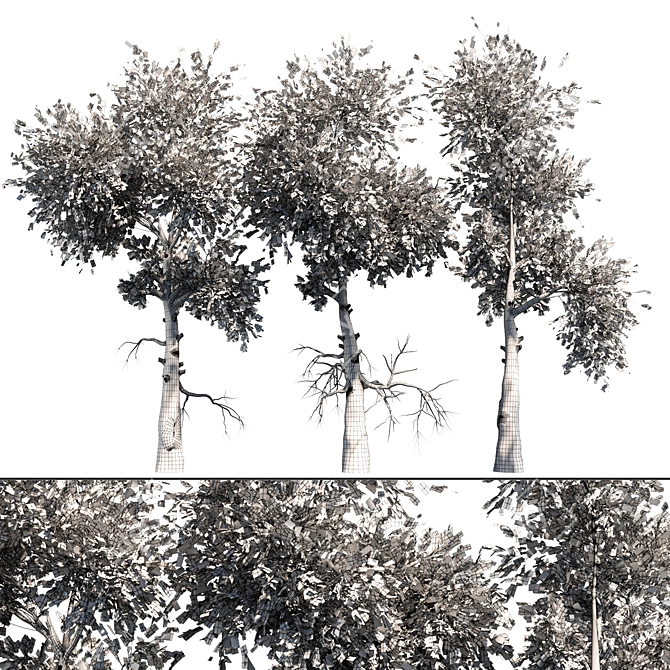 Variety Vol. 3: Three Unique Trees 3D model image 5