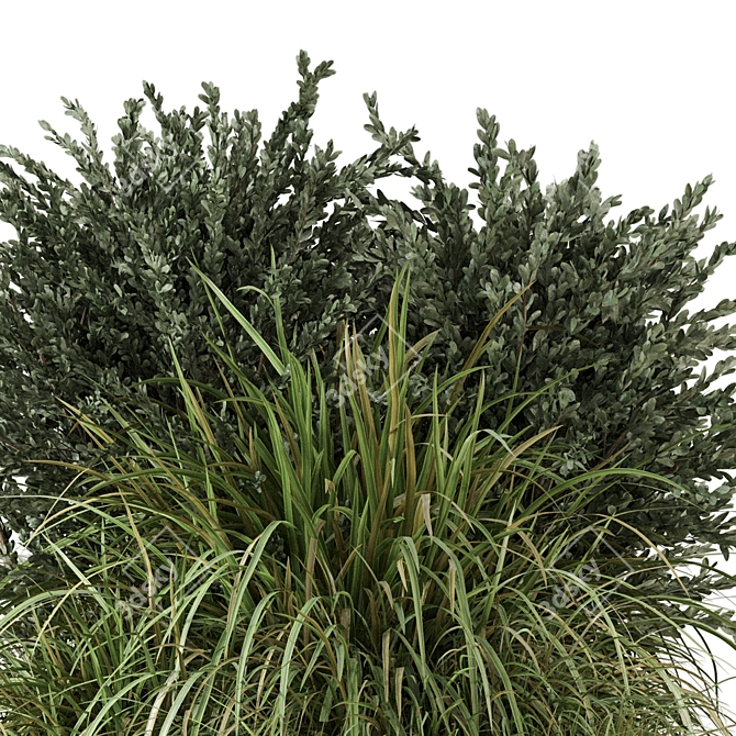Outdoor Bush Plants Set 213 3D model image 5