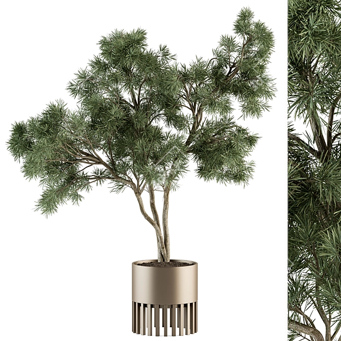 Golden Tree Indoor Plant Set 3D model image 1