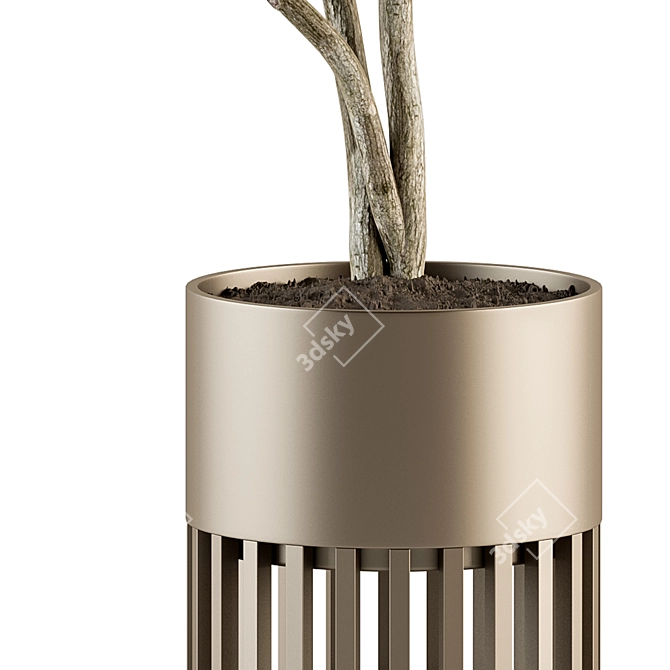 Golden Tree Indoor Plant Set 3D model image 3