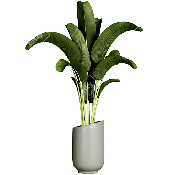 Plant 11: Elegant 2015 Version 3D model image 1