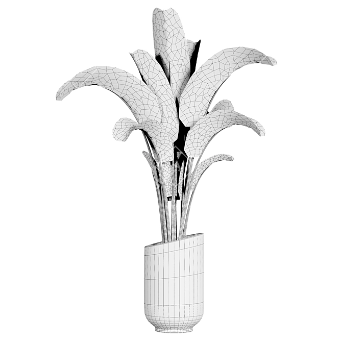 Plant 11: Elegant 2015 Version 3D model image 3