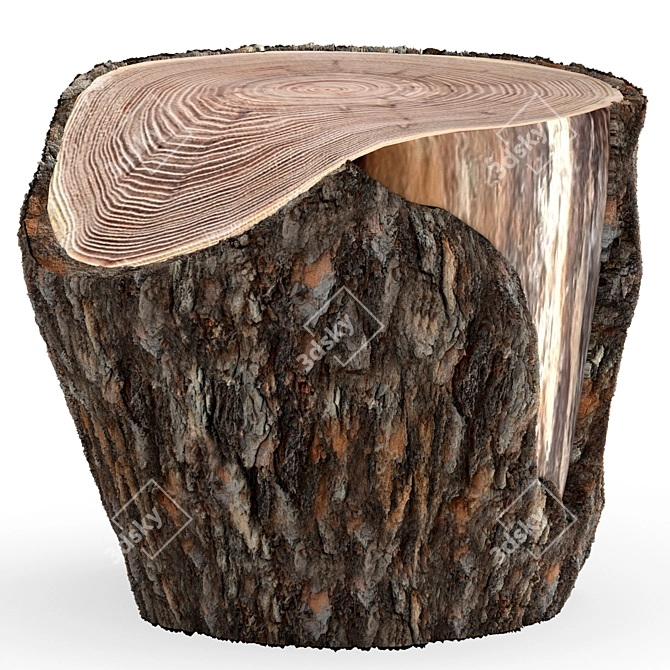 Rustic Pine Stump Cut 3D model image 1