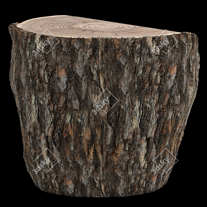 Rustic Pine Stump Cut 3D model image 3