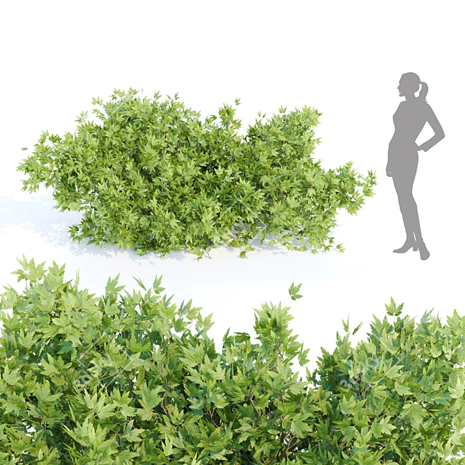 Nature's Oasis: Outdoor Bush Collection 3D model image 3