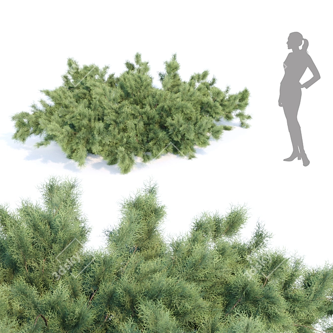 Nature's Oasis: Outdoor Bush Collection 3D model image 4