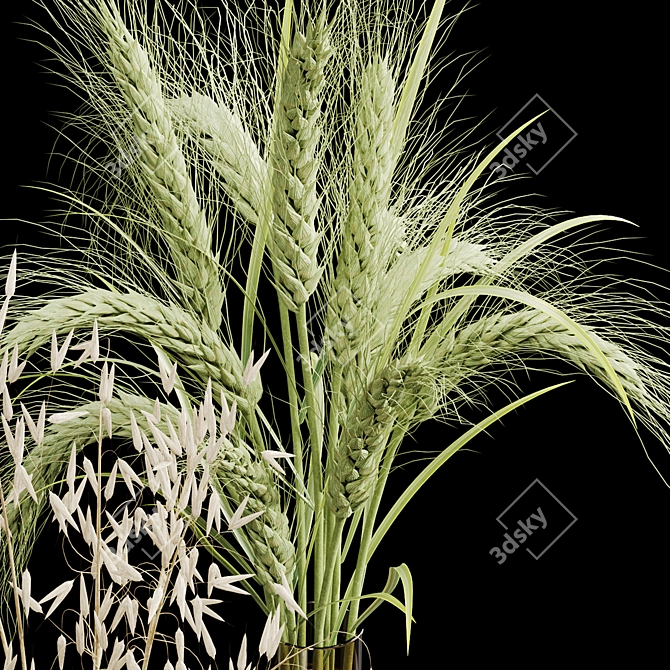 Elegant Dry Plant Set: V-Ray/Corona 3D model image 3